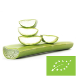 Aloes świeży bio 1 kg - liście