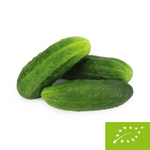 Ogórek gruntowy świeży BIO (Polska) (około 1,00 kg)