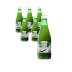 ZESTAW 6 x Sok z selera kwaszonego, bez cukru bio 300 ml